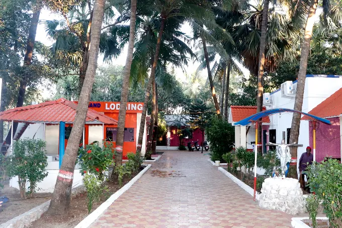 Pathway and green surroundings at White Sand Lodging Manori